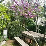 Lejlighed Arboretum
