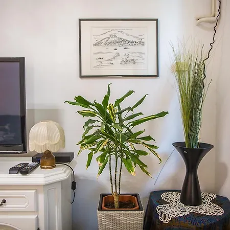 Holiday Arboretum Apartment Sibenik