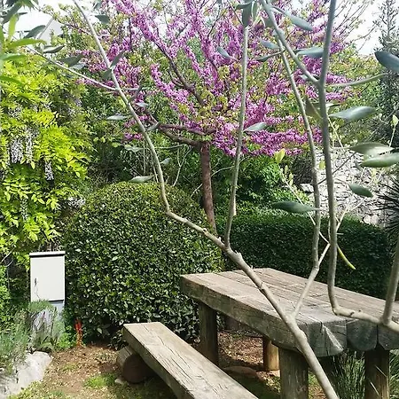 Apartment Holiday Arboretum