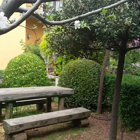 Apartment Holiday Arboretum