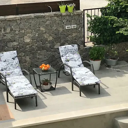 Apartment Holiday Arboretum